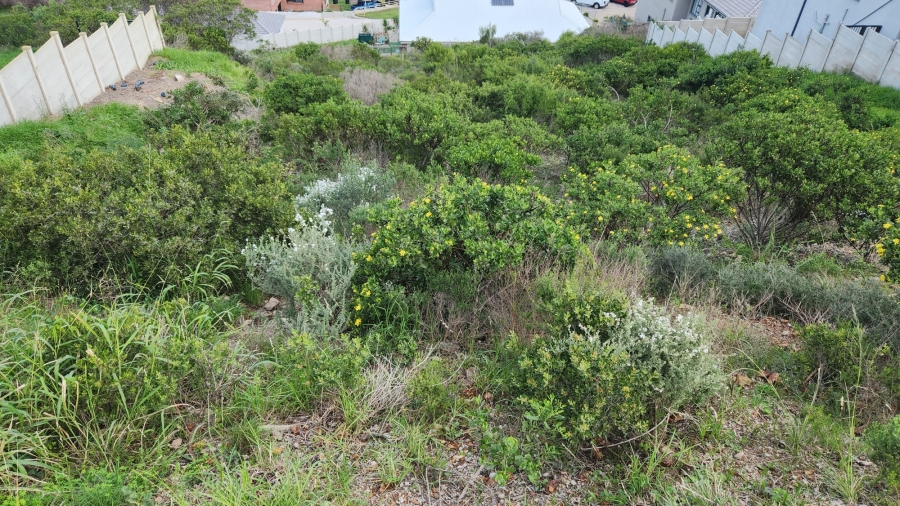 0 Bedroom Property for Sale in Island View Western Cape